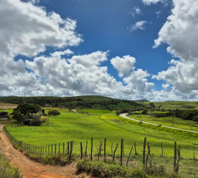 África do Sul Wine and Food expedition 