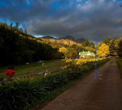 África do Sul Wine and Food expedition 