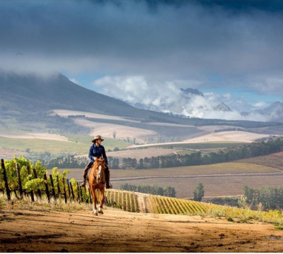 África do Sul Wine and Food expedition 