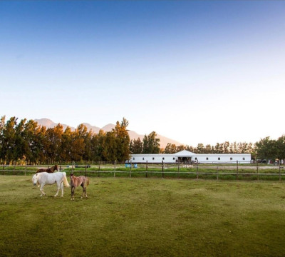 África do Sul Wine and Food expedition 