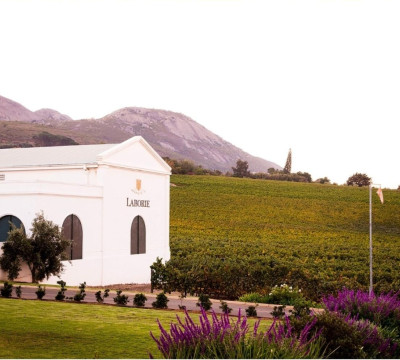 África do Sul Wine and Food expedition 