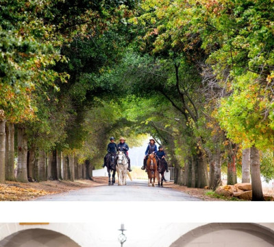 África do Sul Wine and Food expedition 