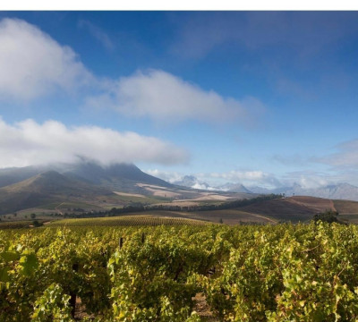 África do Sul Wine and Food expedition 