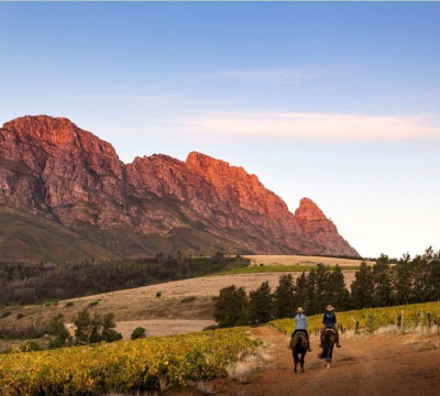 África do Sul Wine and Food expedition 