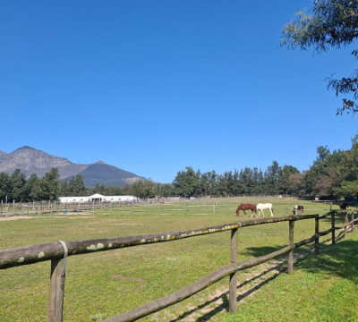 África do Sul Wine and Food expedition 