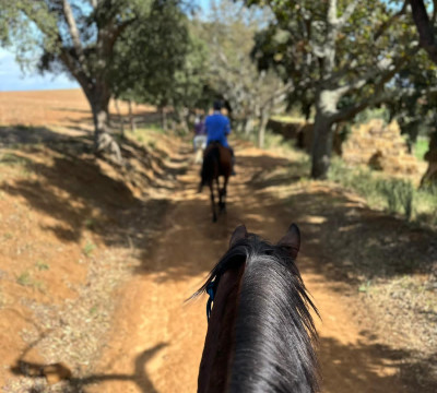 África do Sul Wine and Food expedition 