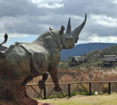 África do Sul Wine and Food expedition 