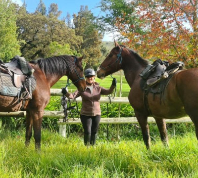 África do Sul Wine and Food expedition 